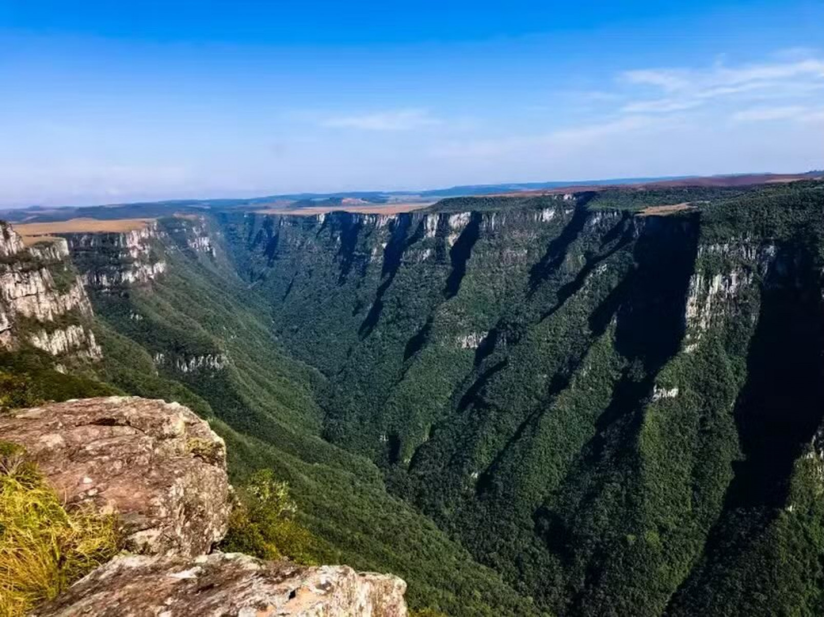 Foto: Reprodução/Redes sociais