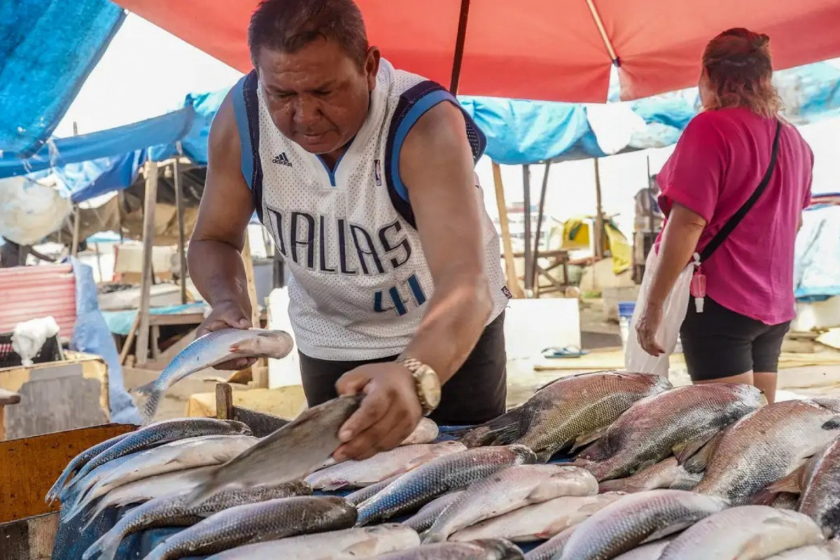 O setor de pescados é um dos que foram imediatamente impactados (Rafa Neddermeyer/Agência Brasil) O setor de pescados é um dos que foram imediatamente impactados/Rafa Neddermeyer/Agência Brasil