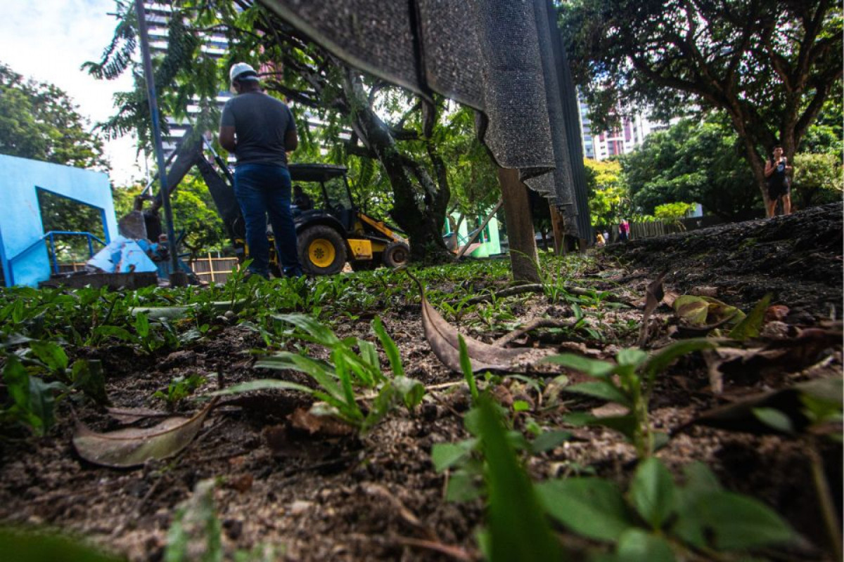 Área de demolição contém árvores com placas descritivas colocadas pela prefeitura