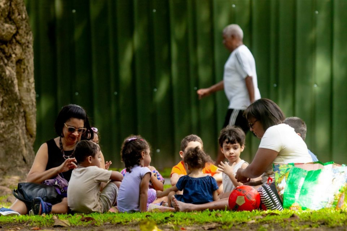 Área de demolição contém árvores com placas descritivas colocadas pela prefeitura