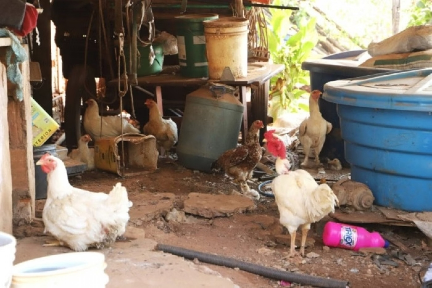 Divulgação/Governo de SP