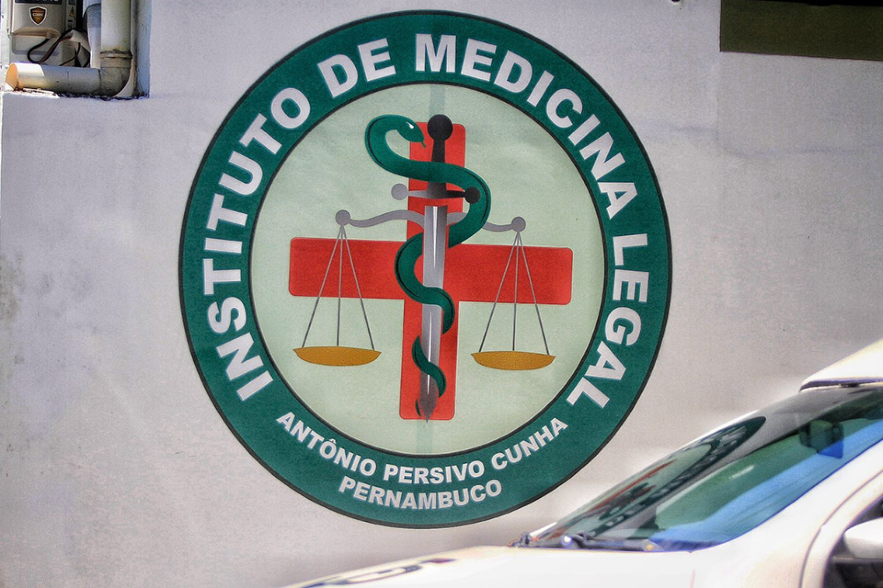 R&Ocirc;MULO CHICO/DP