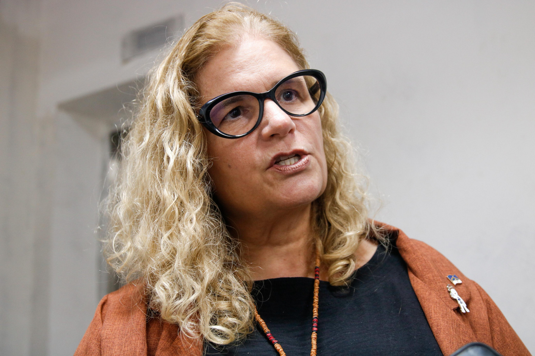 Secretária de Saúde de Pernambuco, Zilda Cavalcanti (Foto: Marina Torres/DP Foto)
