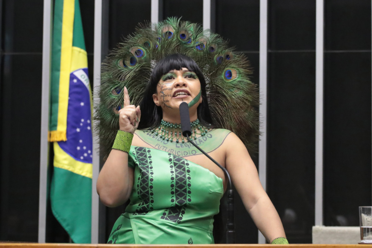 Deputada Célia Xakriabá (PSOL - MG)