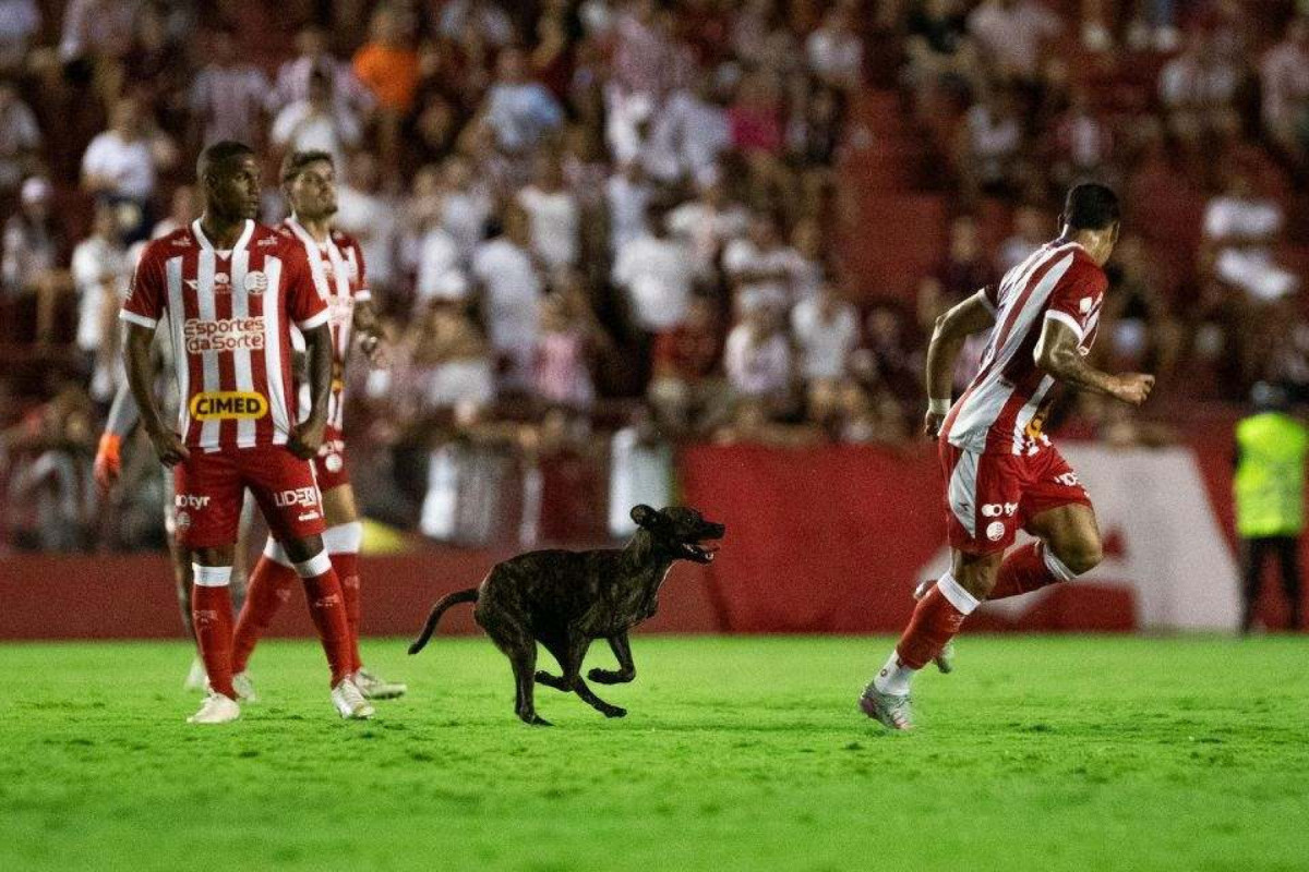 Cachorro é atração em jogo entre Náutico e Caxias (Rafael Vieira / DP Foto) Cachorro é atração em jogo entre Náutico e Caxias /Rafael Vieira / DP Foto