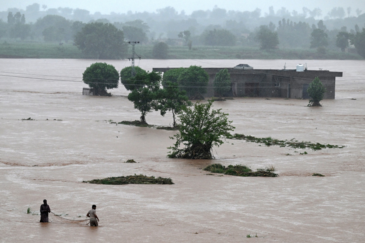 Moradores locais pescam nas águas da enchente perto de uma casa parcialmente submersa durante fortes chuvas de monções na vila de Rawalpindi, em Lad, em 17 de julho de 2025. Fortes chuvas foram associadas a 54 mortes nas últimas 24 horas no Paquistão, elevando o número de mortos para cerca de 180 desde a chegada das monções no final de junho, informou a agência de desastres do governo em 17 de julho. (Foto de Aamir QURESHI / AFP) ( AFP)
Moradores locais pescam nas águas da enchente perto de uma casa parcialmente submersa durante fortes chuvas de monções na vila de Rawalpindi, em Lad, em 17 de julho de 2025. Fortes chuvas foram associadas a 54 mortes nas últimas 24 horas no Paquistão, elevando o número de mortos para cerca de 180 desde a chegada das monções no final de junho, informou a agência de desastres do governo em 17 de julho. (Foto de Aamir QURESHI / AFP)/ AFP