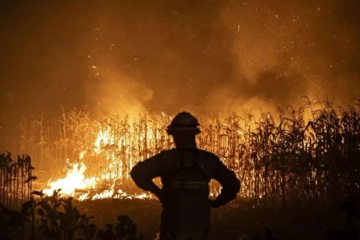 Bombeiro trabalha no combate ao incêndio florestal em Portugal (Patricia de Melo Moreira/AFP) Bombeiro trabalha no combate ao incêndio florestal em Portugal/Patricia de Melo Moreira/AFP