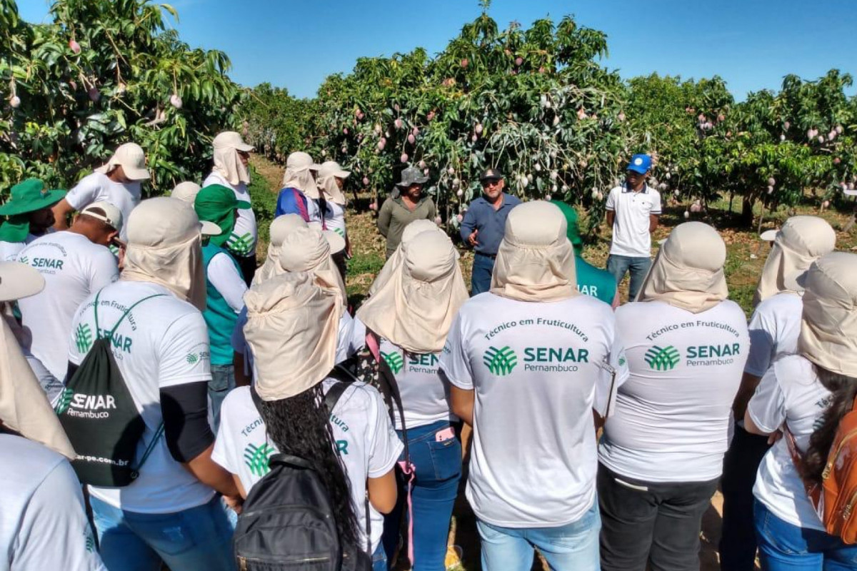 Nesta segunda-feira (28) é celebrado o Dia do Produtor Rural