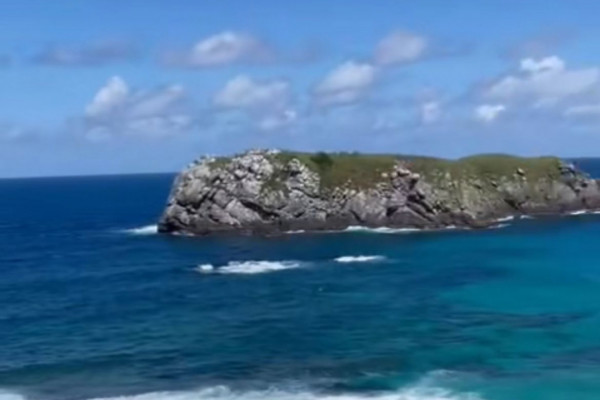 Baleias-jubarte são vistas em praia em Fernando de Noronha
