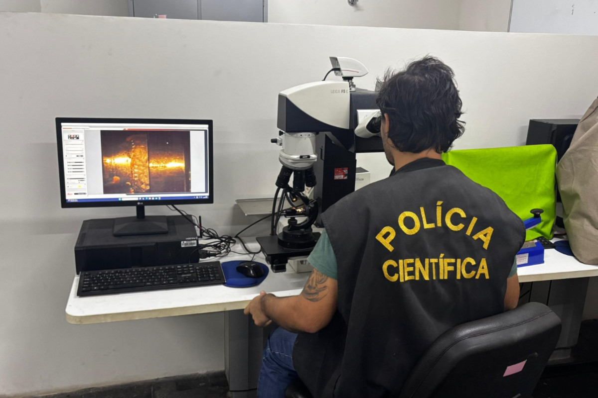 Polícia Científica/Divulgação/Polícia Científica