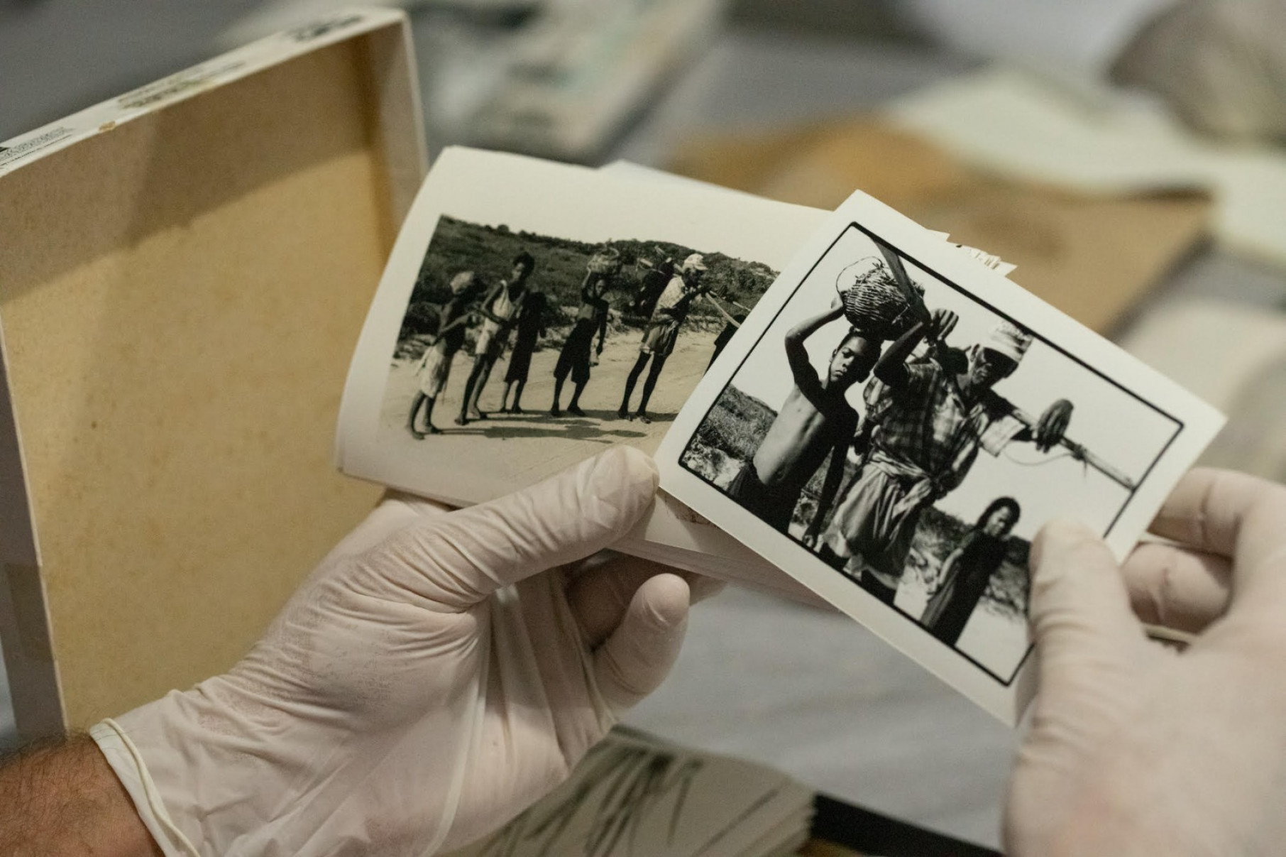 Foto: Mergulha e Voa