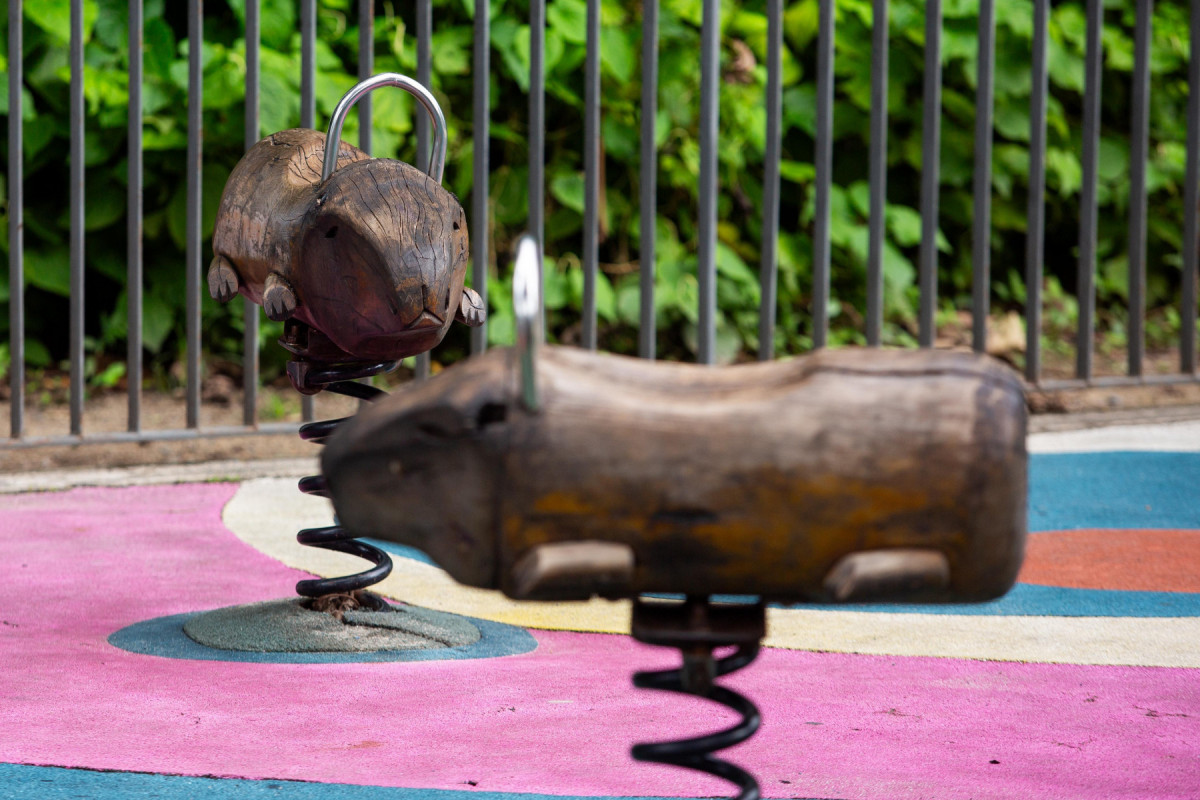 Prefeitura tem instalado brinquedos em forma de capivara nos parques da cidade