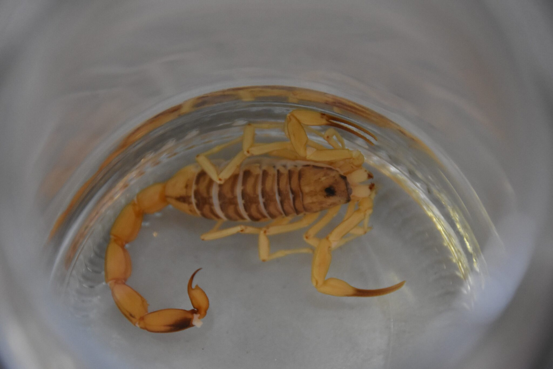 Tony Winston/Agência Saúde