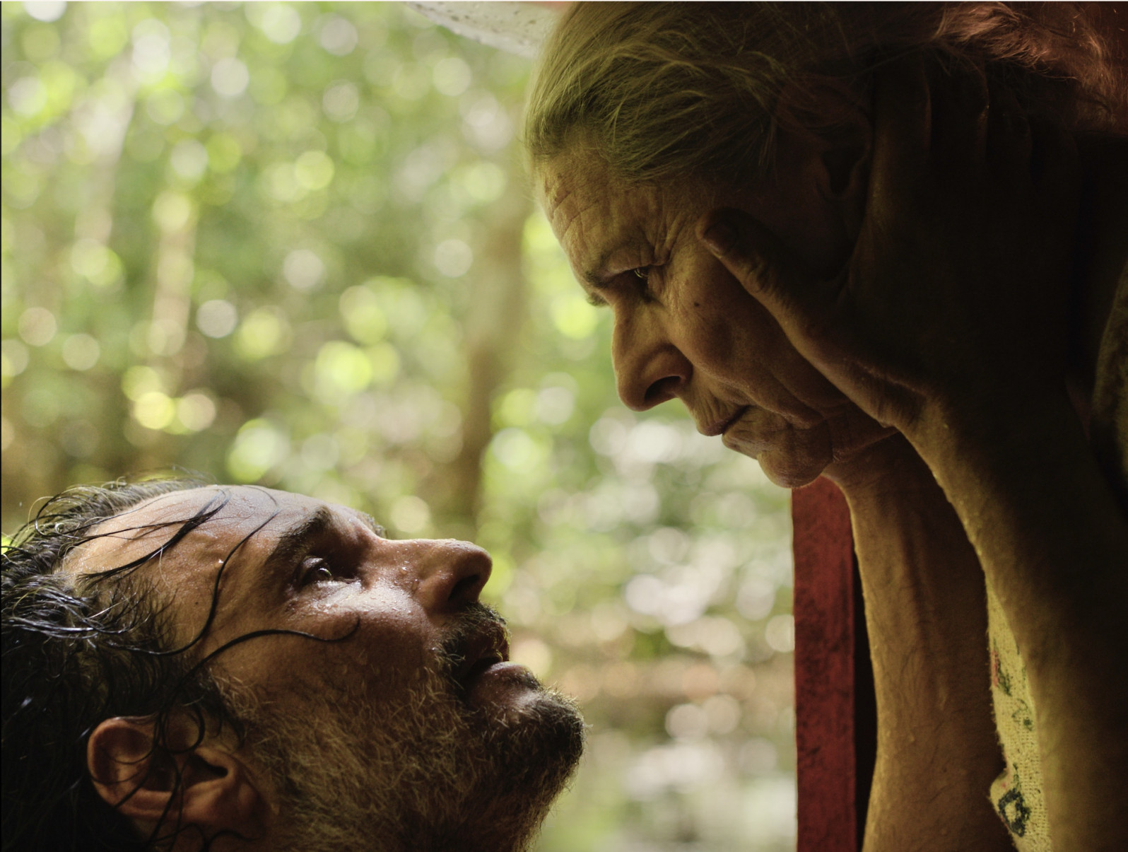 Foto: Guillermo Garza