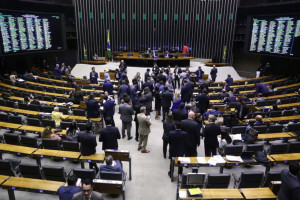  C&acirc;mara dos Deputados