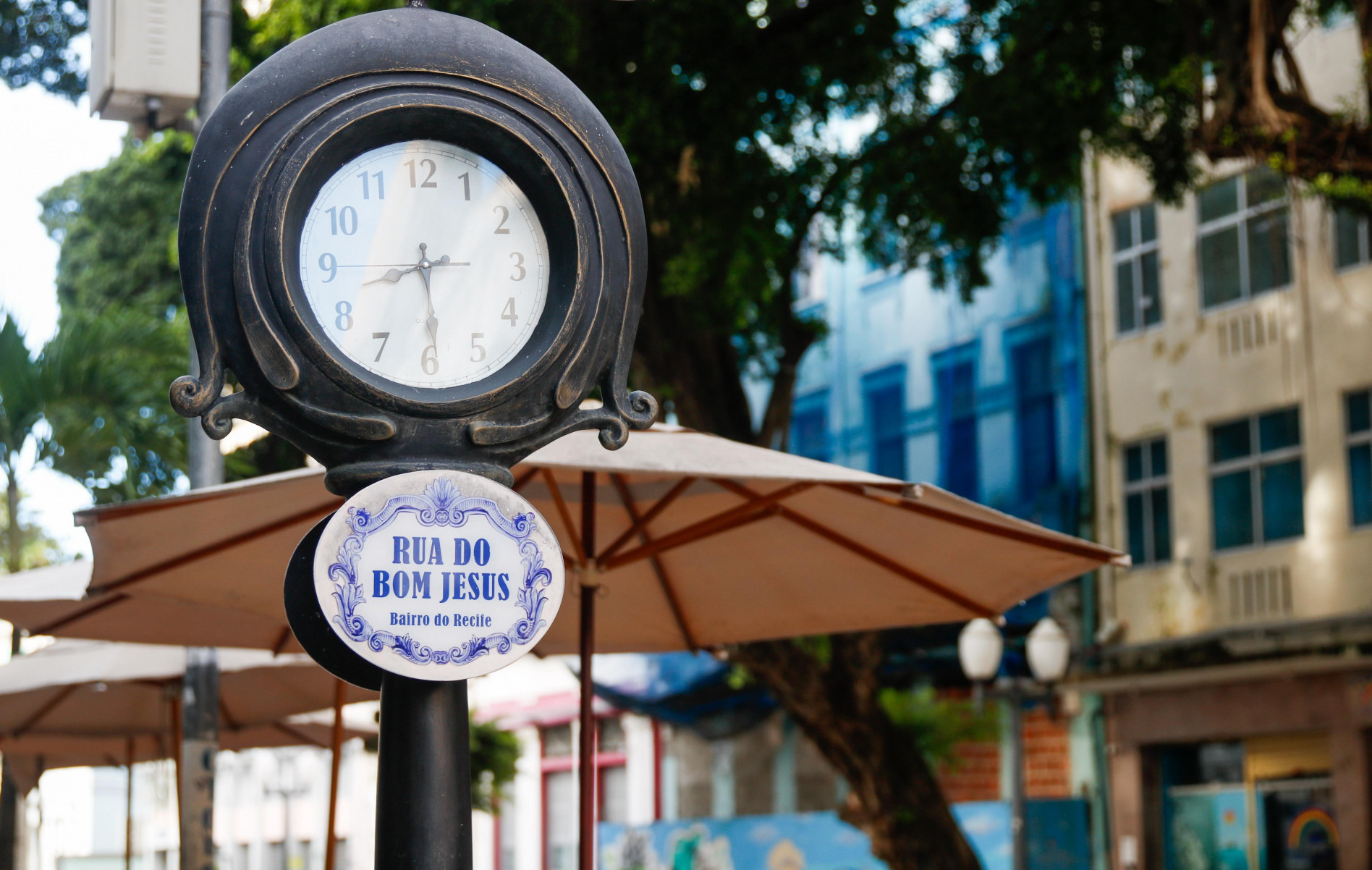 Foto: Marina Torres/DP Foto
