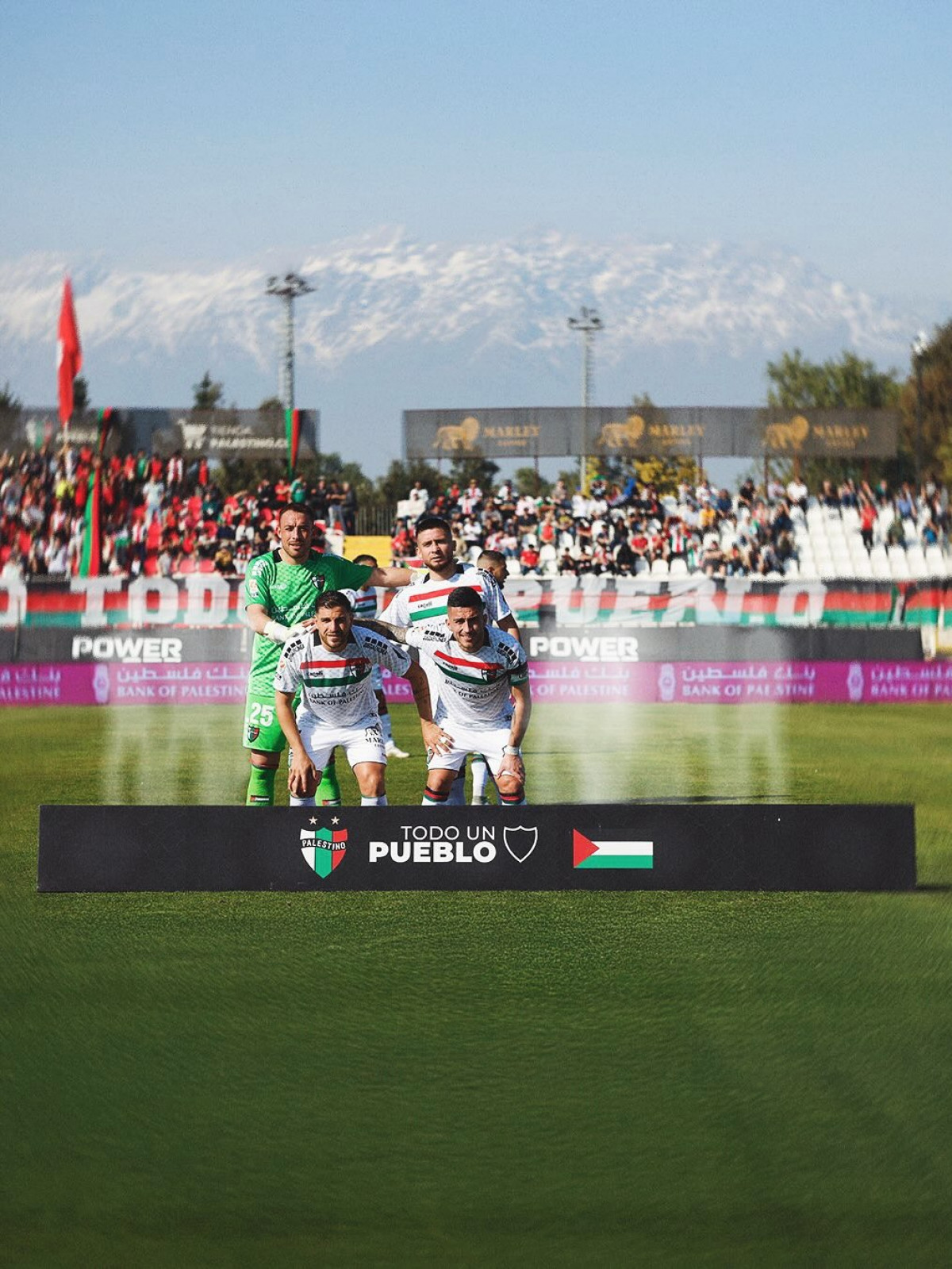 Divulga&ccedil;&atilde;o