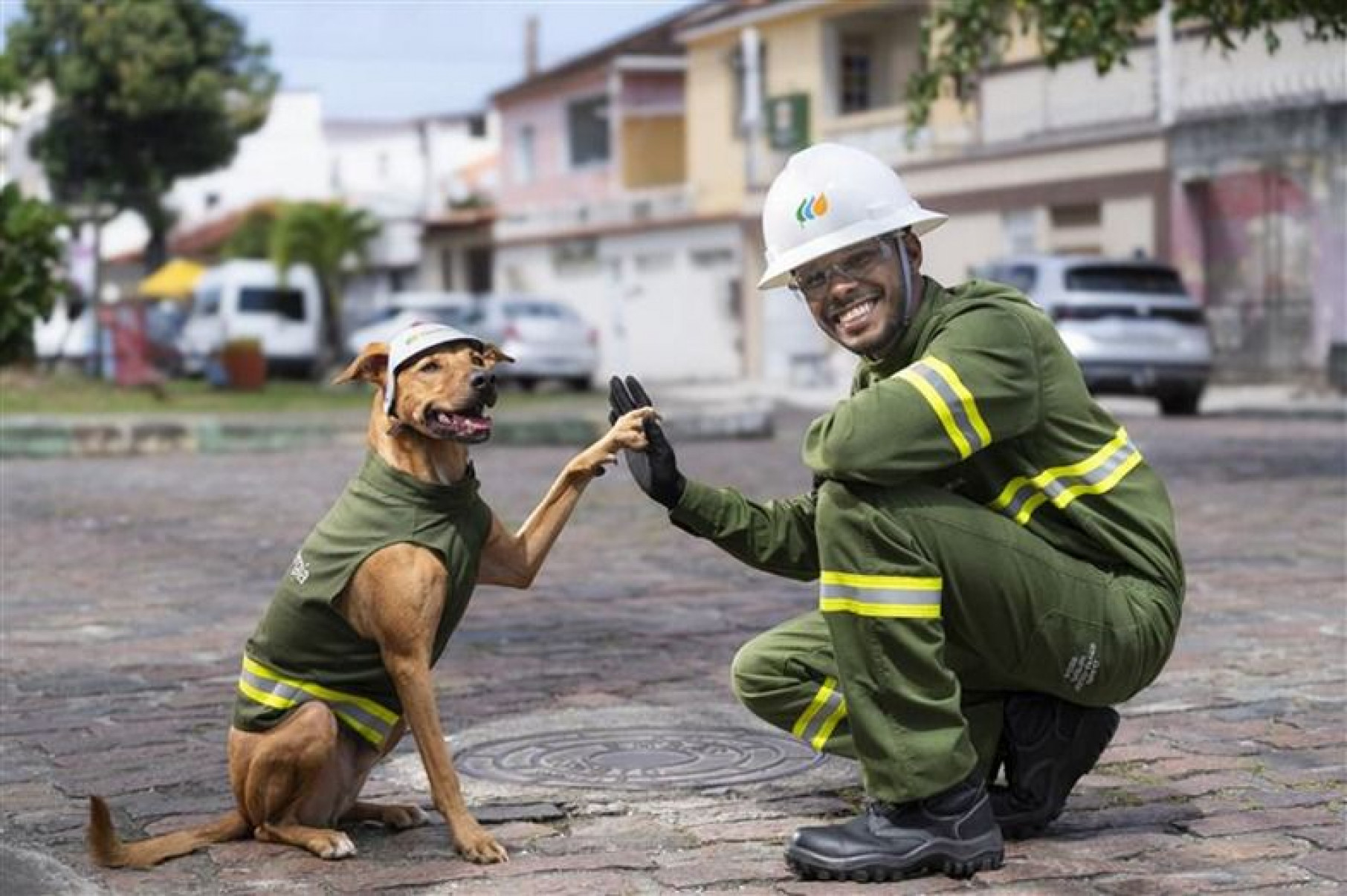 Foto: Divulgação / Neoenergia