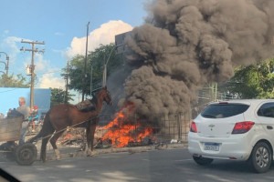 Carroceiros protestaram em vários pontos da cidade