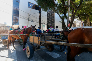 Carroceiros foram até a Alepe, nesta segunda (18) 