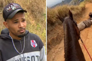 Homem mutilou patas de cavalo em Bananal, em S&atilde;o Paulo