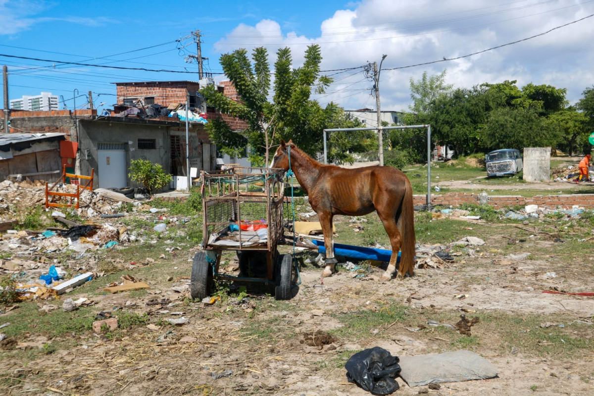 Cenas de pessoas em carroças ainda são comuns na capital