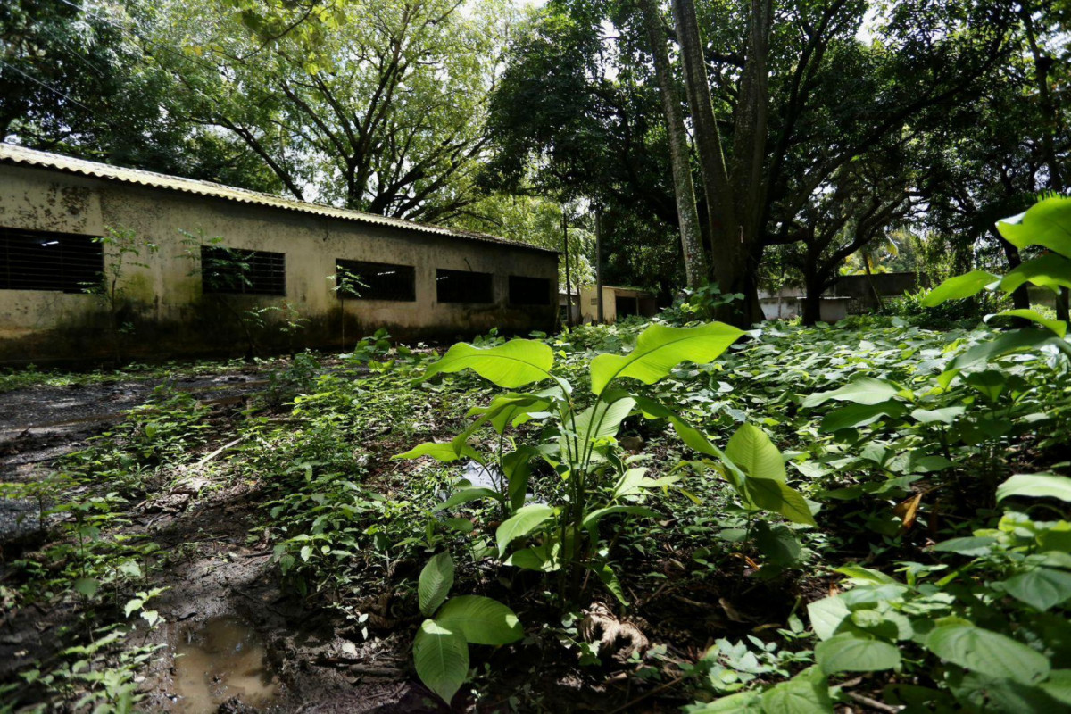 Capital tem 25 Unidades de Conservação da Natureza (UCNs)
