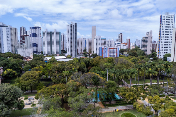 Recife ainda possui 91,9 km² de área verde (Foto: Rafael Vieira/DP Foto)