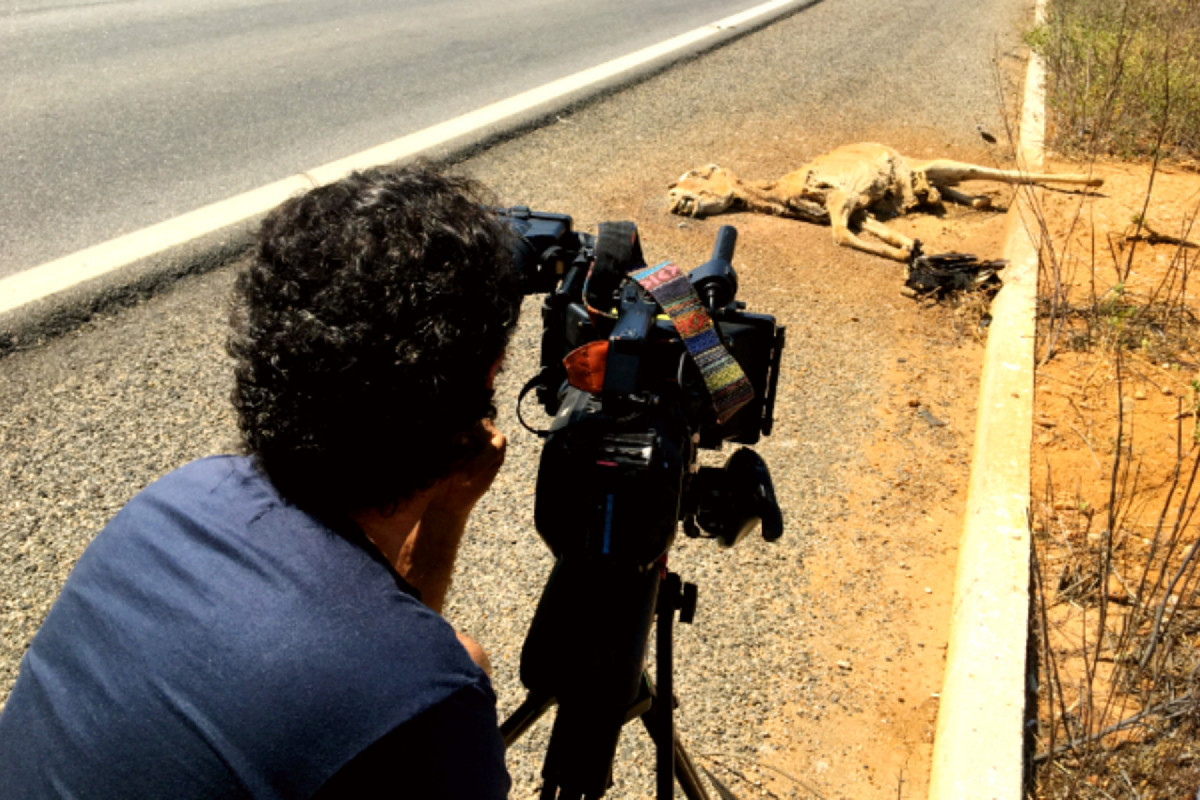 Domumentário Na Contramão, de 2018, denunciou o abandono e extermínio de jumentos em Pernambuco