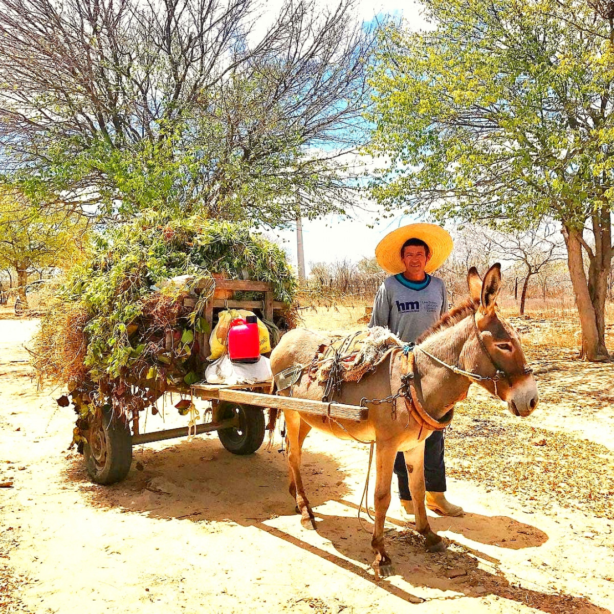 Na Contramão/Divulgação