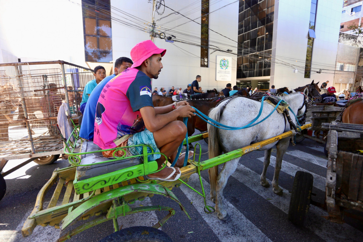 Segundo a lei, os proprietários que entregarem apenas o veículo de tração animal, sem o respectivo animal de tração, não receberam a indenização.
 (Foto: Marina Torres/DP Foto)
