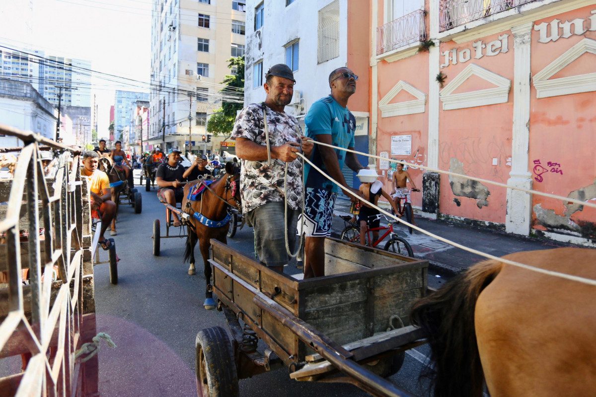 Segundo a lei, os proprietários que entregarem apenas o veículo de tração animal, sem o respectivo animal de tração, não receberam a indenização.
 (Foto: Melissa Fernandes/DP Foto)