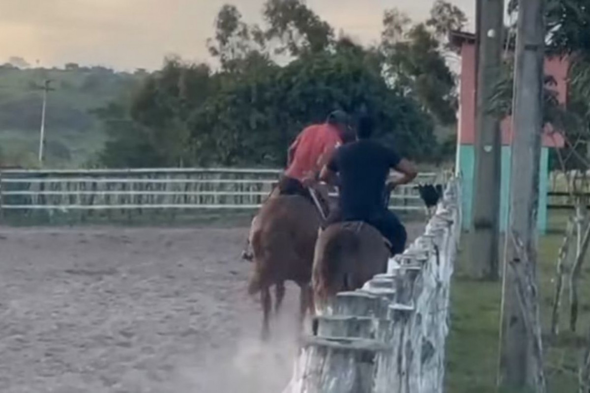 Vaqueiro caiu e foi pisoteado por cavalo em treino em Panelas (Foto: Reprodução/Instagram) Vaqueiro caiu e foi pisoteado por cavalo em treino em Panelas/Foto: Reprodução/Instagram