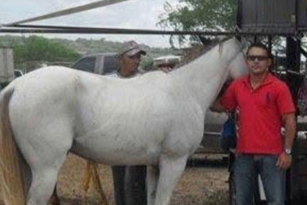 Vaqueiro caiu e foi pisoteado por cavalo em treino em Panelas (Foto: Reprodução/Instagram)