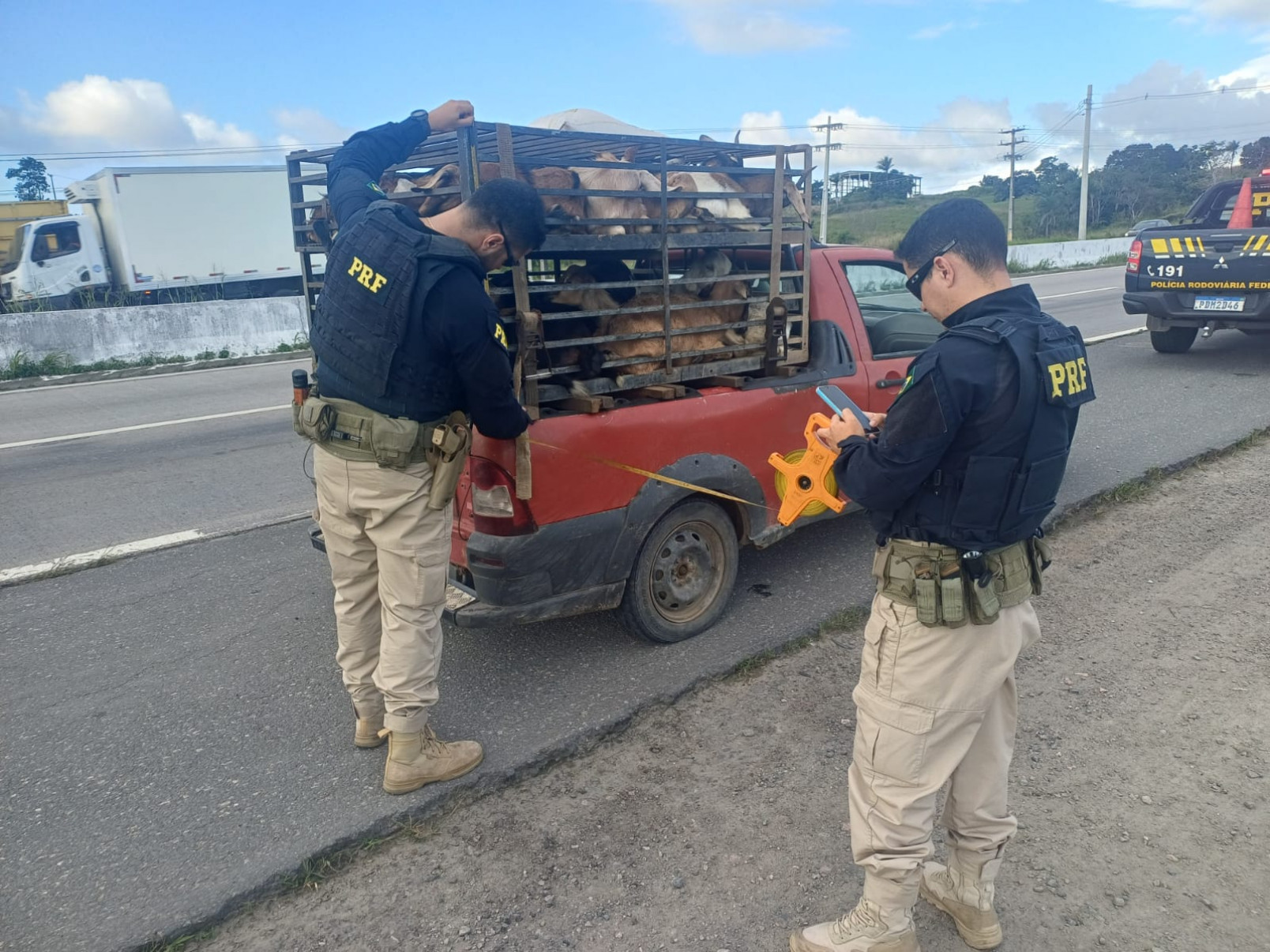 Divulgação/PRF