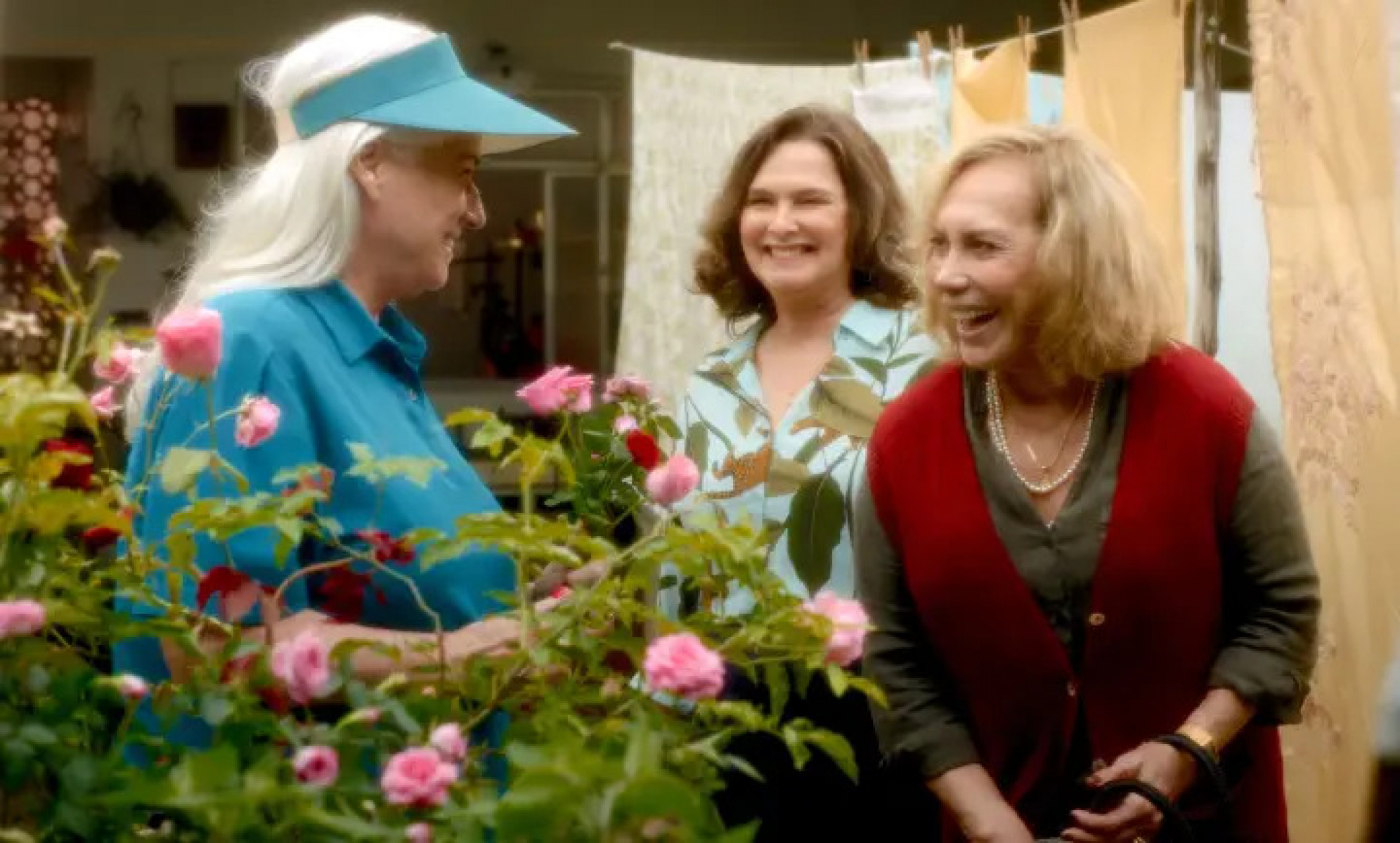 Divulga&ccedil;&atilde;o