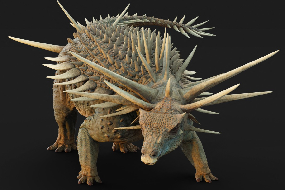 Spicomellus afer (MATT DEMPSEY / NATURAL HISTORY MUSEUM / AFP) Spicomellus afer/MATT DEMPSEY / NATURAL HISTORY MUSEUM / AFP