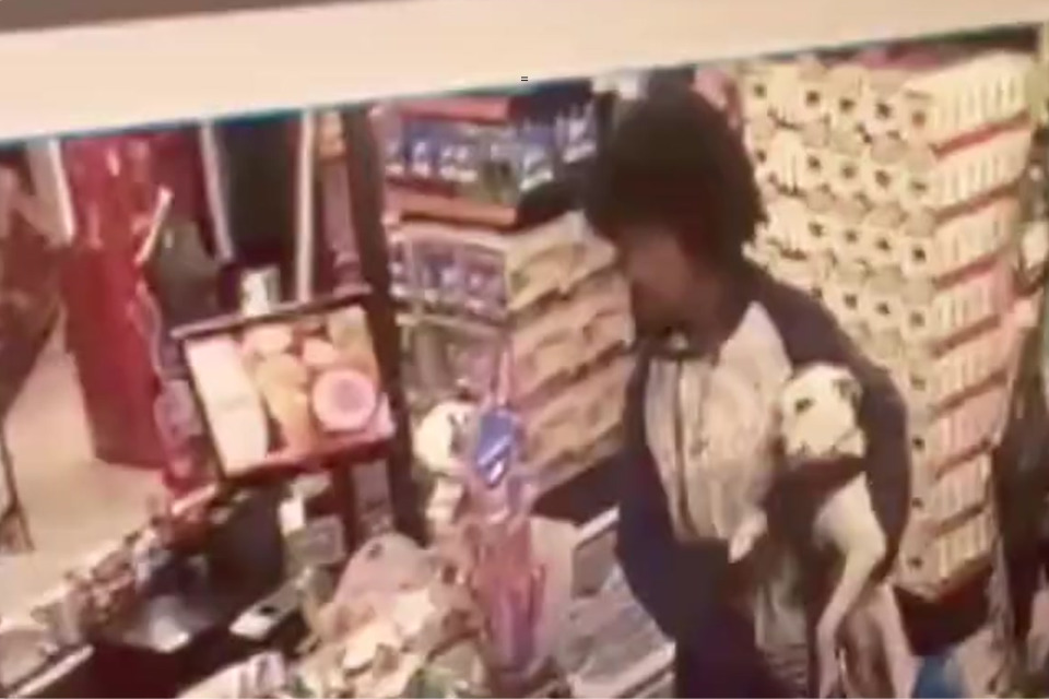 Homem negro é morto a tiros em supermercado de SP após tentar entrar com cachorro no local
(Reprodução ) Homem negro é morto a tiros em supermercado de SP após tentar entrar com cachorro no local
/Reprodução