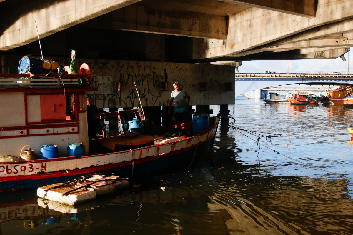 Populações pesqueiras locais também dependem da conservação dos caranguejos (Foto: Marina Torres/DP Foto)