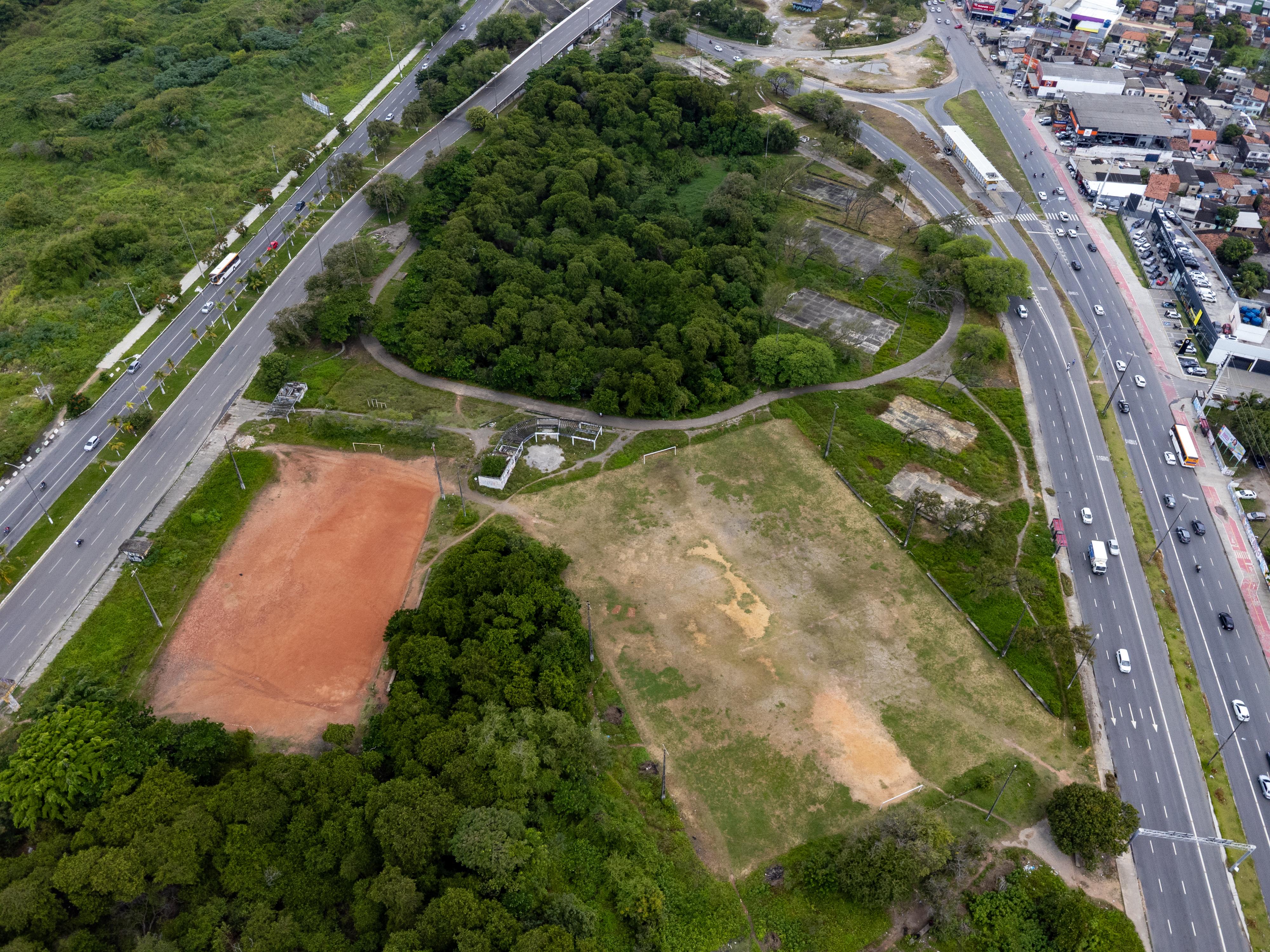 Área do parque tem 80 hectares, equivalente a 800 mil metros quadrados (Foto: Rafael Vieira/DP)