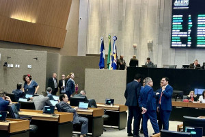 Plen&aacute;rio da Alepe
