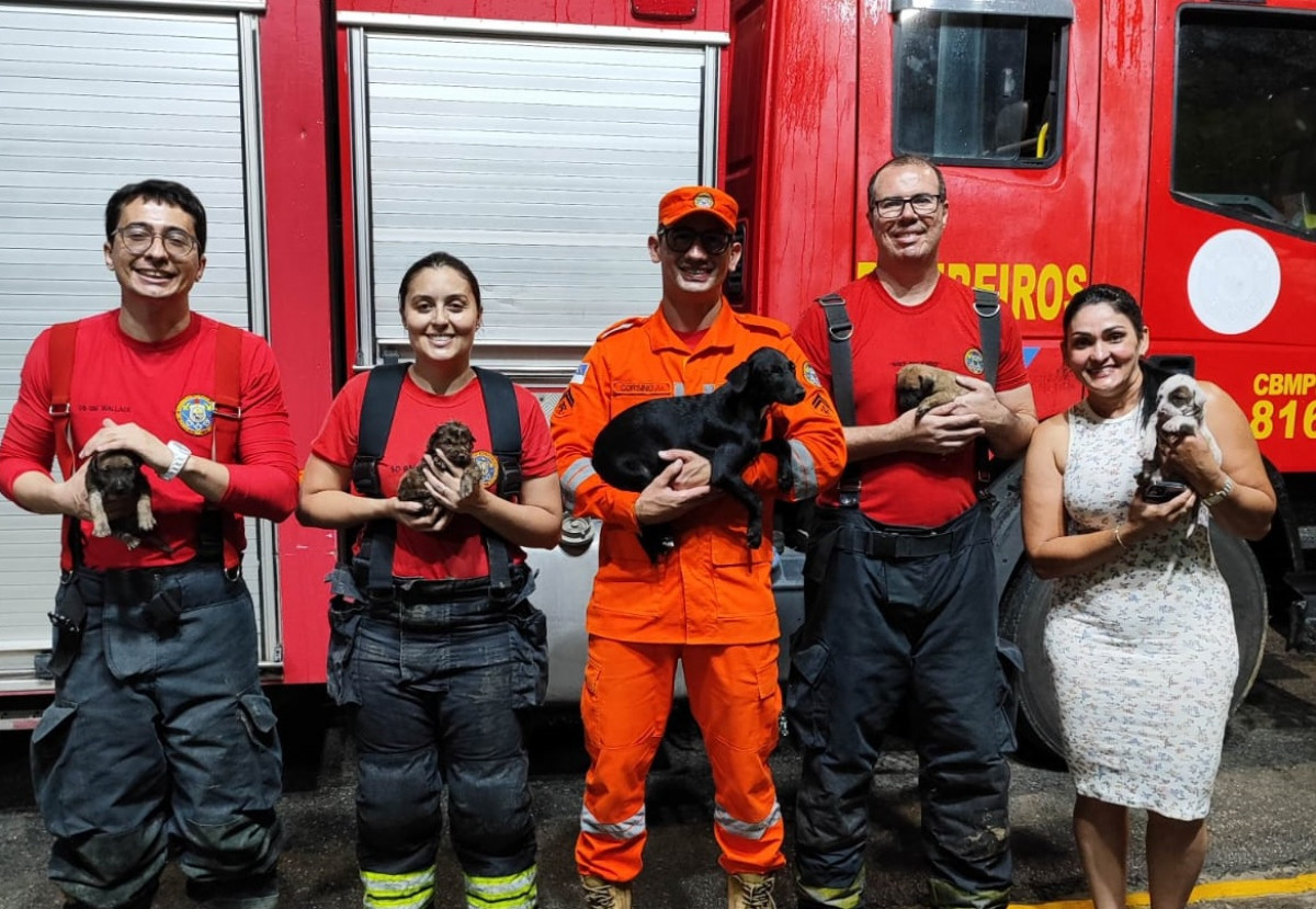 Divulgação/Bombeiros