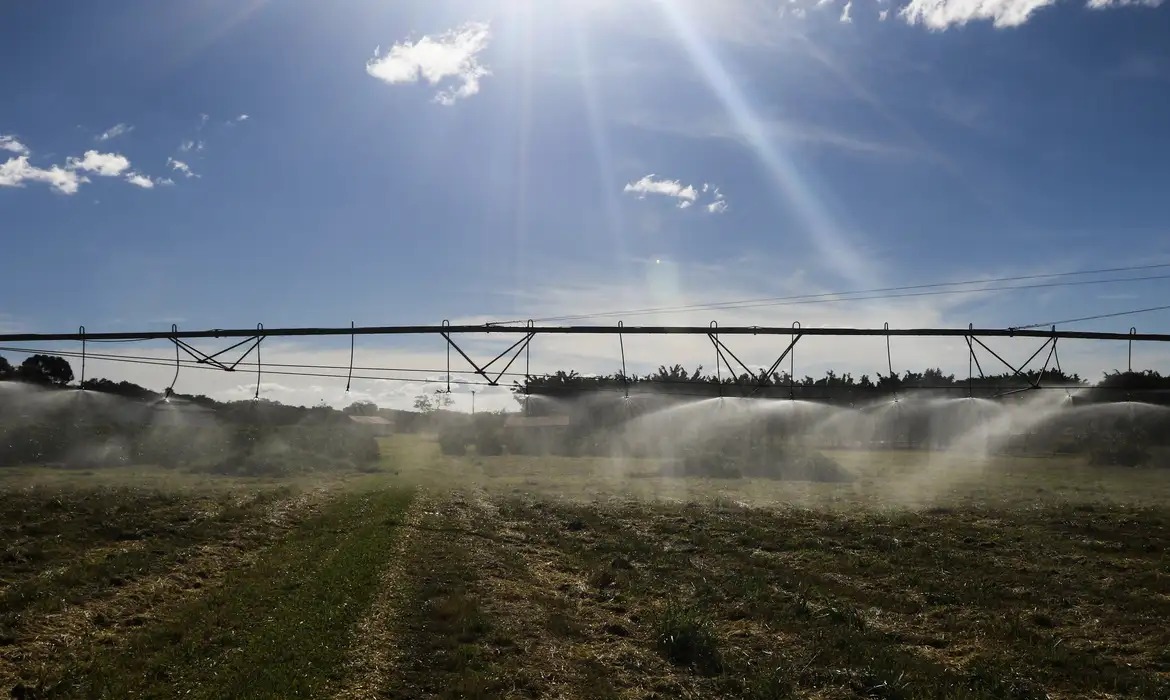 O valor de produção menor é explicado tanto pelas condições climáticas desfavoráveis à agricultura quanto pelos menores preços no mercado internacional, uma vez que grande parte da colheita brasileira é destinada à exportação/Foto: Valter Campanato/Agência Brasil