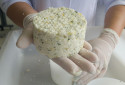 Queijo de leite de jumenta pode custar até 80 vezes mais do que o queijo comum - Cortesia