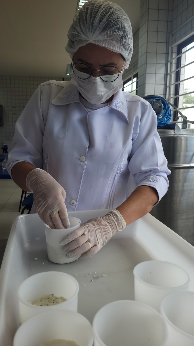 Produtos como queijo, requeijão, iogurte e sorvete de leite de jumenta estão sendo produzidos pelo projeto (Cortesia)