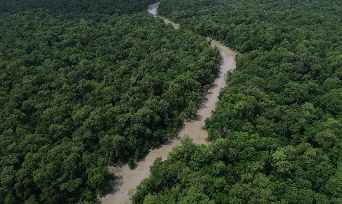 Somada ao que já havia sido afetado anteriormente, a Amazônia, em 2024, já havia perdido 18,7% da vegetação nativa, dos quais 15,3% foram ocupados por atividades humanas/Foto: Fernando Frazão/Agência Brasil