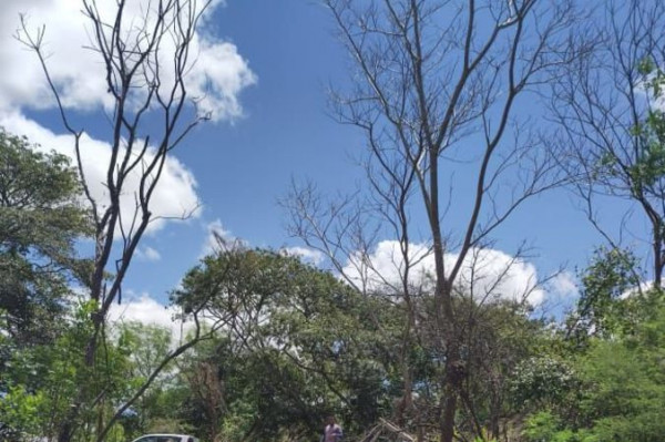 Operaçaõ da Compesa em Exu resulta na prisão de três pessoas e recuperação de 10 litros de água por segundo (Foto: Compesa/ Divulgação)