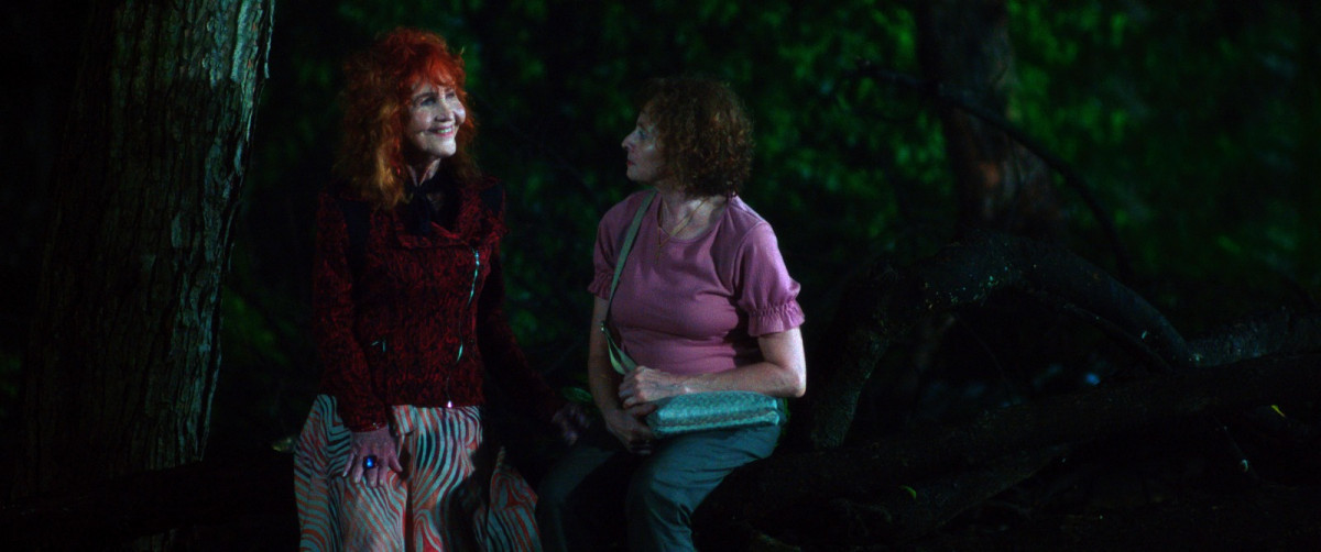 Clarisse Abujamra interpreta Sydia no filme (Foto: Petrus Cariry/Divulgação)