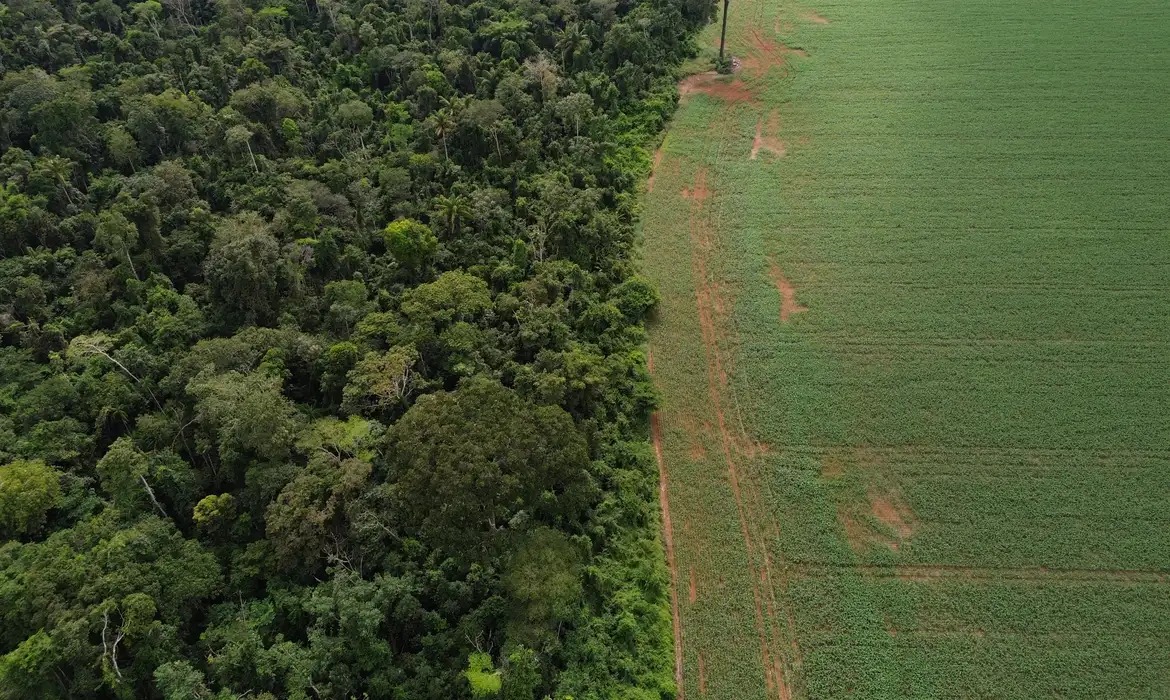 Na prática, os recursos garantirão um repasse de US$ 4 bilhões por hectare preservado de floresta tropical/Foto: Fernando Frazão/Agência Brasil