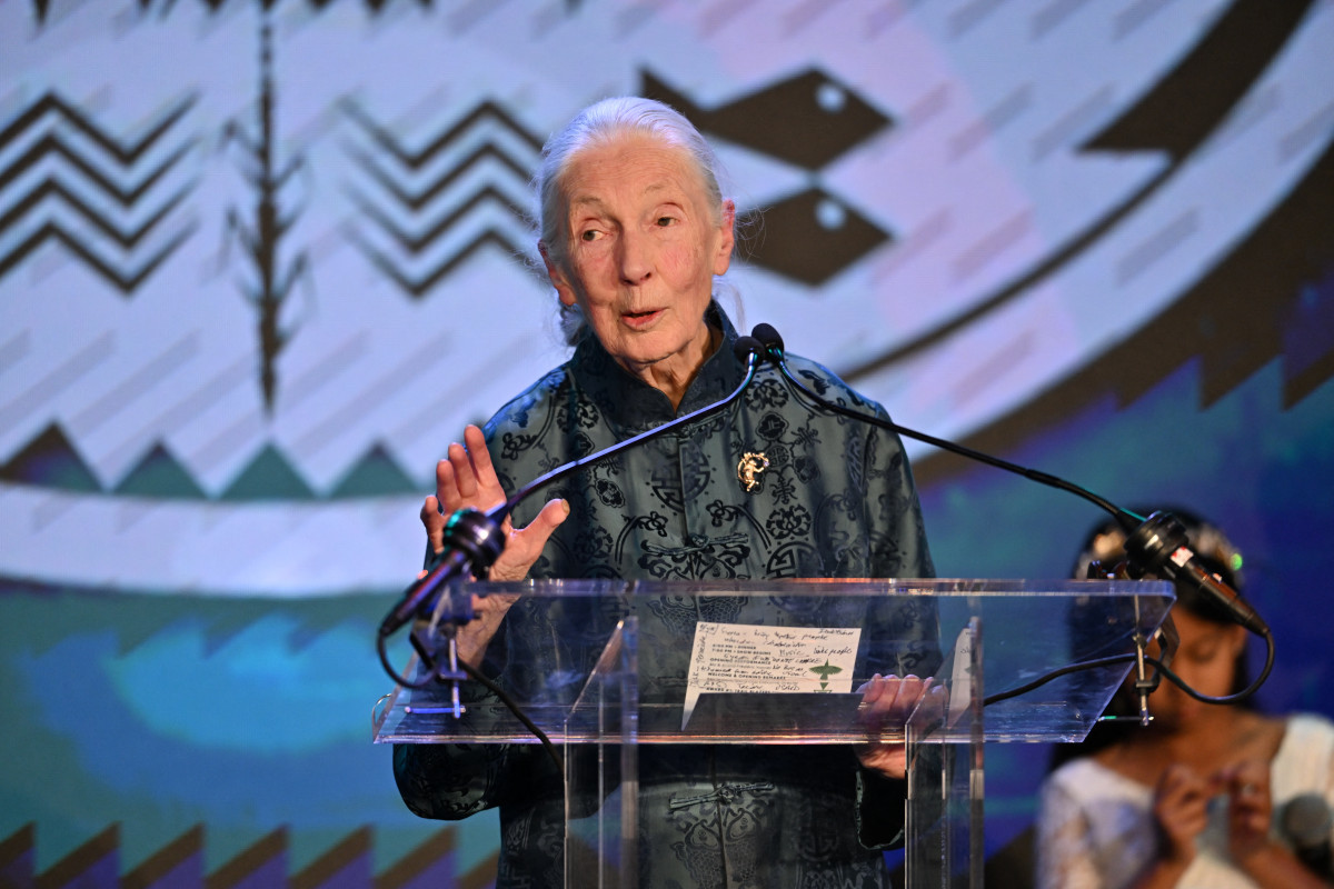 Jane Goodall (ROBYN BECK / AFP) Jane Goodall/ROBYN BECK / AFP